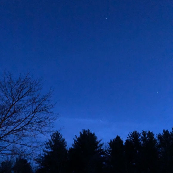 Meet your Posher, Shelby - Picture 1 of 1